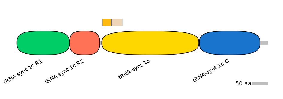 HsaINT0135698-EXC