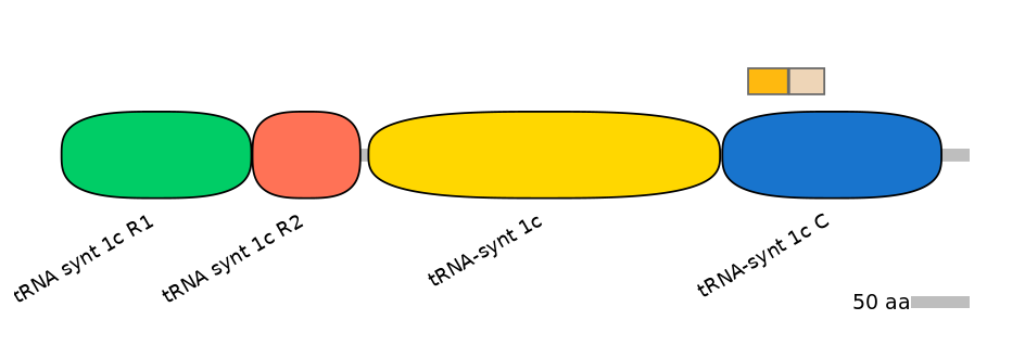 HsaINT0135707-EXC