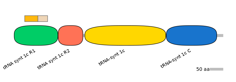 HsaINT0135708-EXC