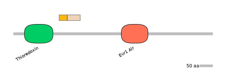 HsaINT0135811-EXC