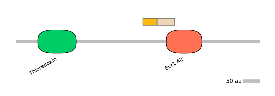 HsaINT0135826-EXC