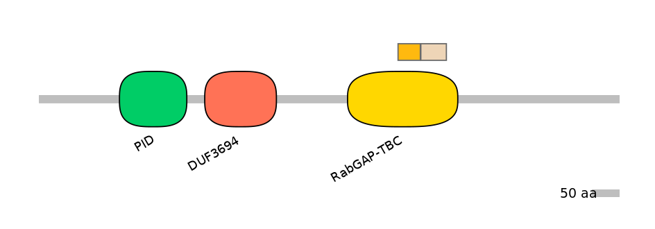 HsaINT0136382-EXC