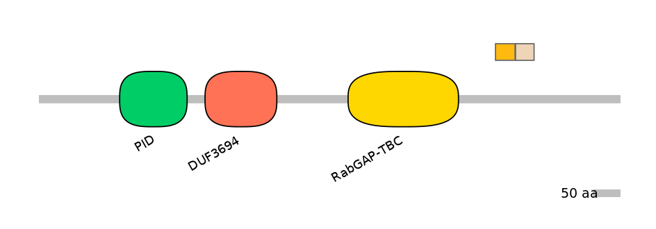HsaINT0136388-EXC
