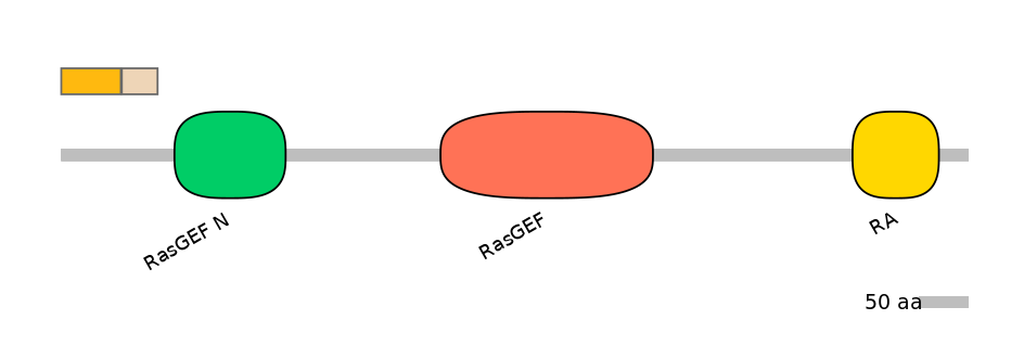 HsaINT0136998-EXC