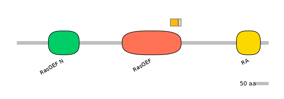 HsaINT0137000-EXC