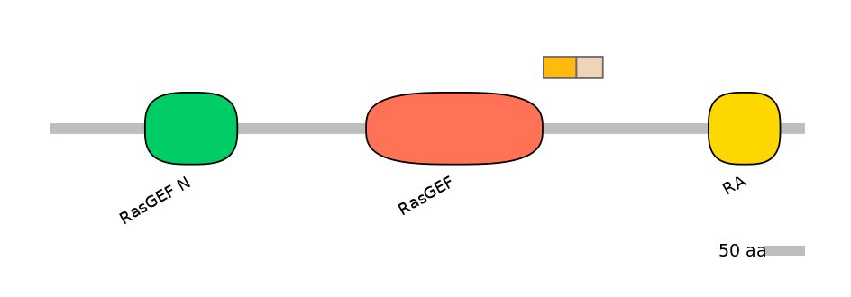 HsaINT0137002-EXC
