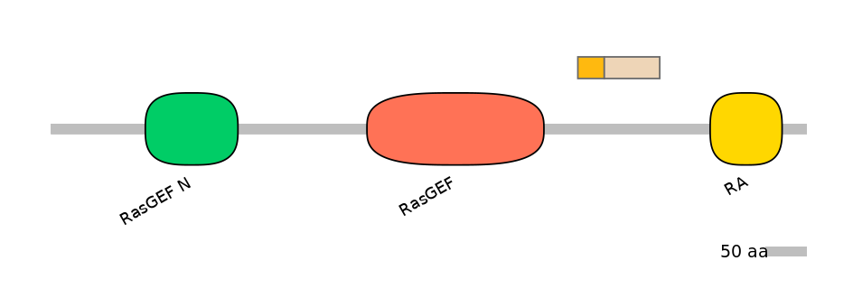 HsaINT0137003-EXC