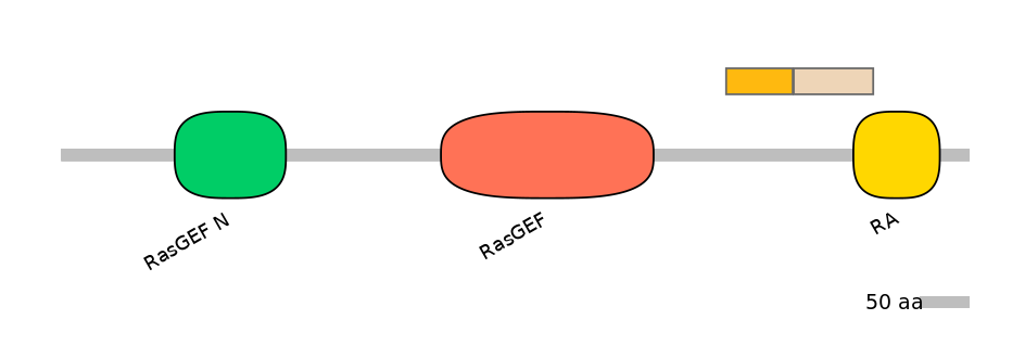 HsaINT0137004-EXC
