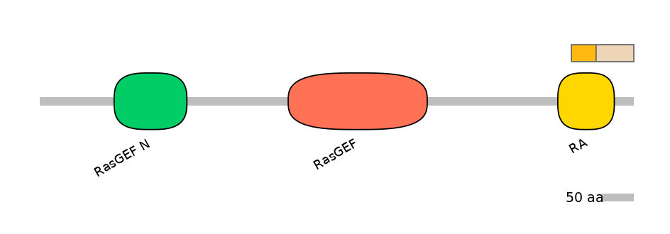 HsaINT0137006-EXC