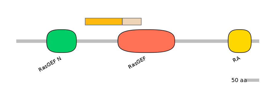 HsaINT0137011-EXC