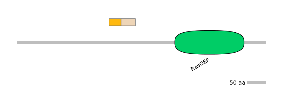 HsaINT0137481-EXC