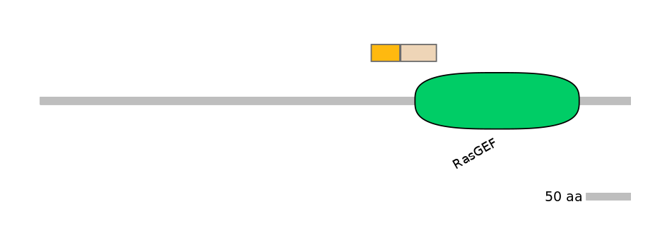 HsaINT0137484-EXC