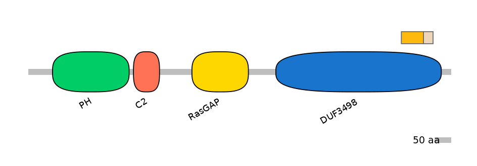 HsaINT0137703-EXC