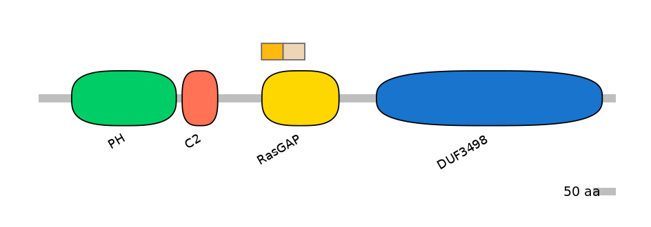 HsaINT0137710-EXC