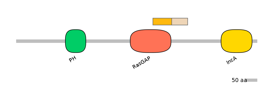 HsaINT0137719-EXC