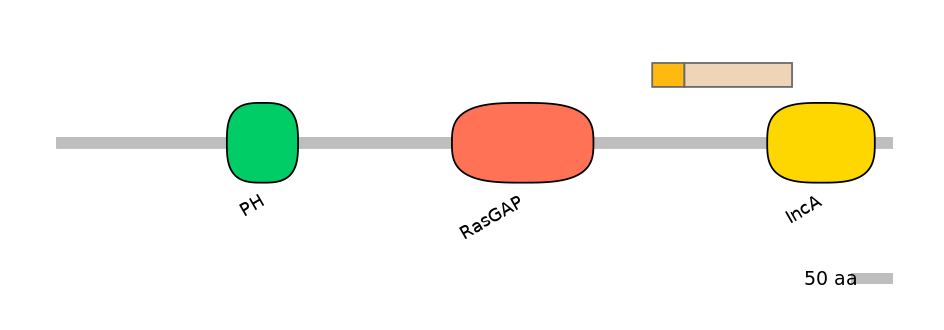 HsaINT0137721-EXC