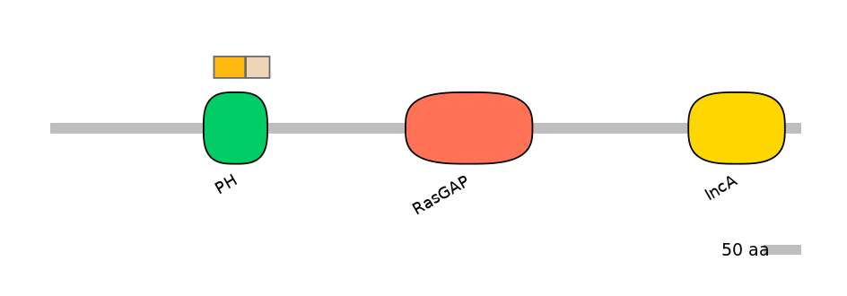 HsaINT0137730-EXC