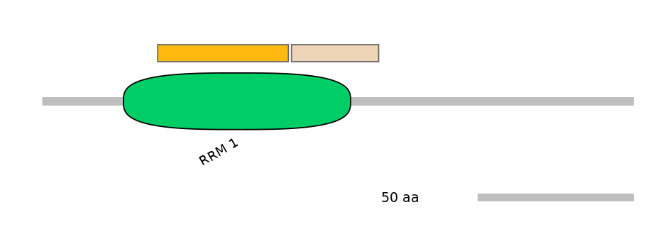 HsaINT0138339-EXC