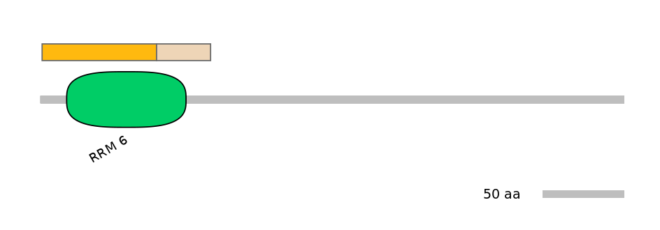 HsaINT0138557-EXC