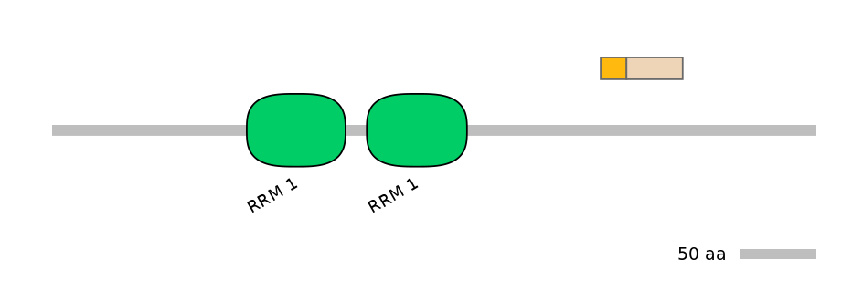 HsaINT0138682-EXC