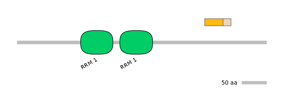 HsaINT0138683-EXC