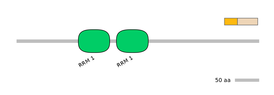 HsaINT0138684-EXC