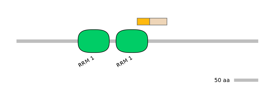 HsaINT0138688-EXC