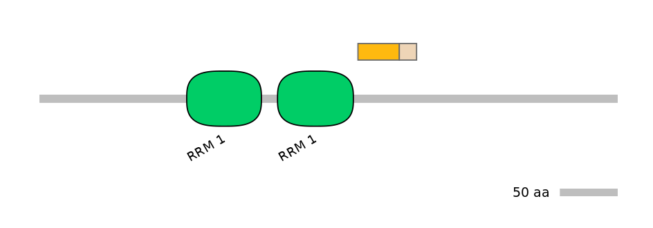 HsaINT0138689-EXC