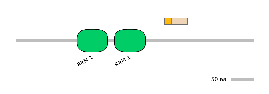 HsaINT0138690-EXC