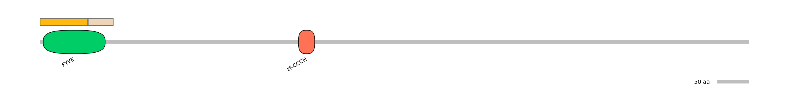 HsaINT0138809-EXC
