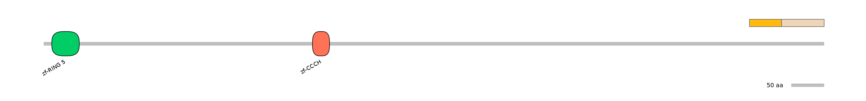 HsaINT0138828-EXC