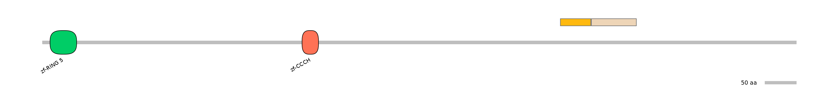 HsaINT0138834-EXC