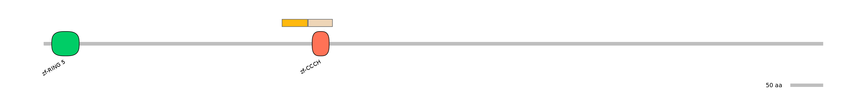 HsaINT0138843-EXC