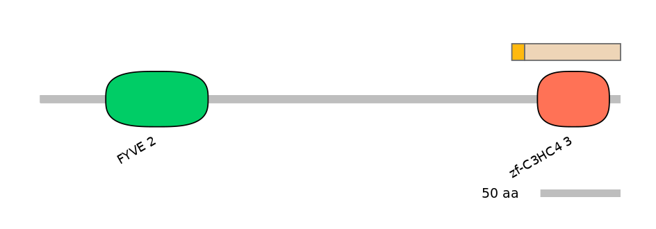 HsaINT0139635-EXC