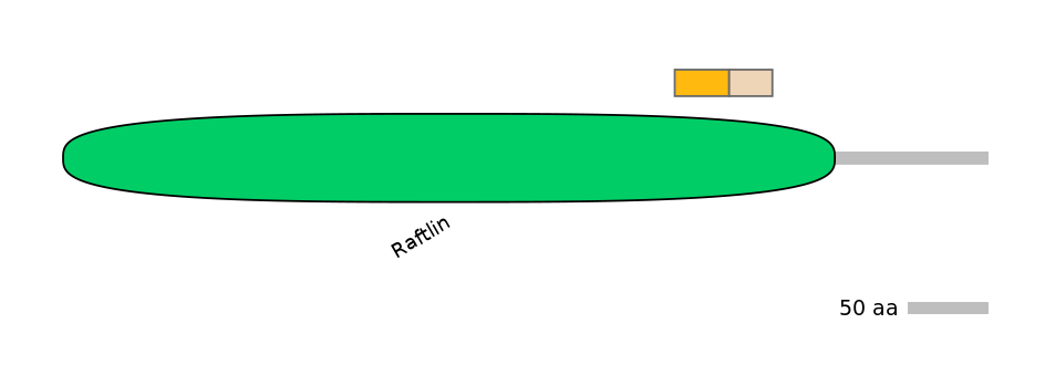 HsaINT0139676-EXC