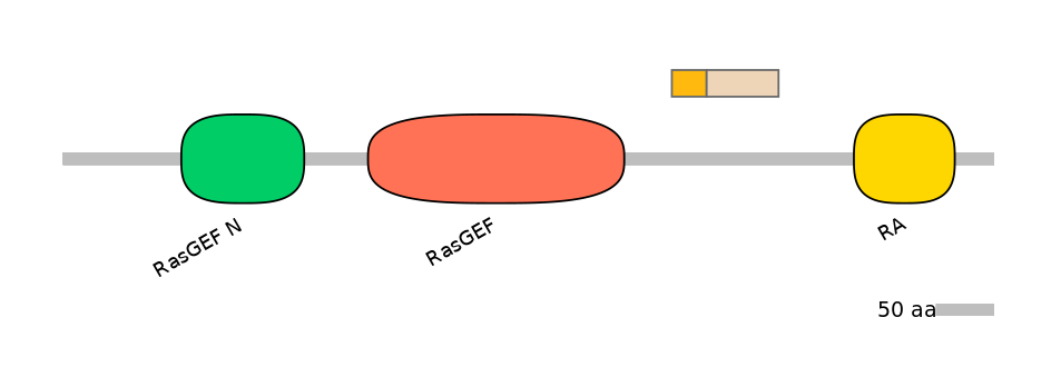 HsaINT0139869-EXC