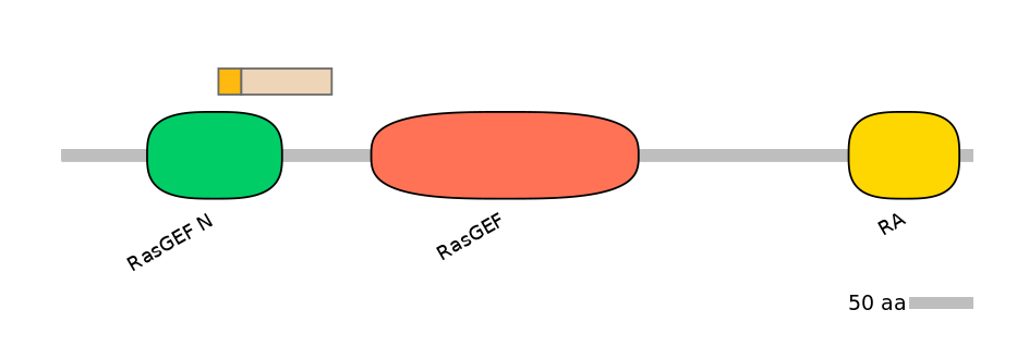 HsaINT0139892-EXC