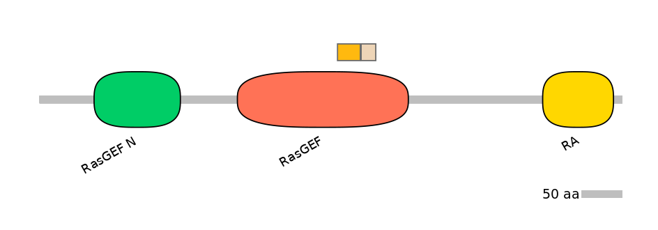 HsaINT0139897-EXC