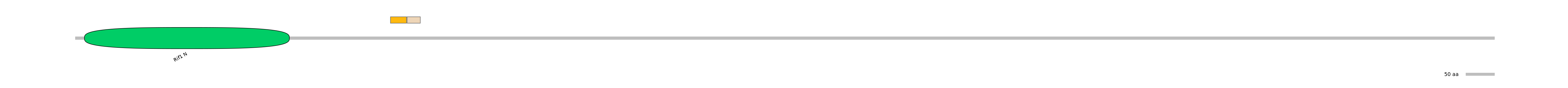 HsaINT0140686-EXC