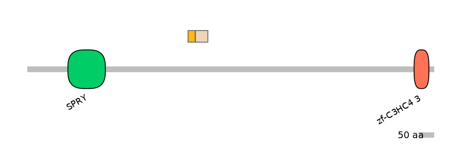 HsaINT0141238-EXC