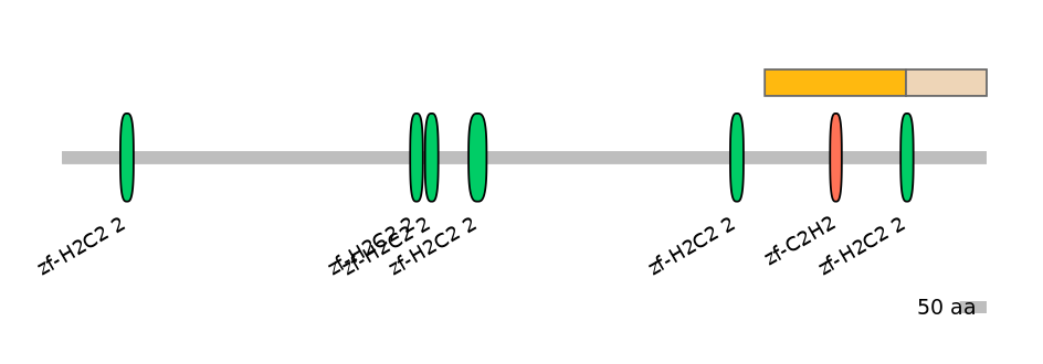 HsaINT0143330-EXC