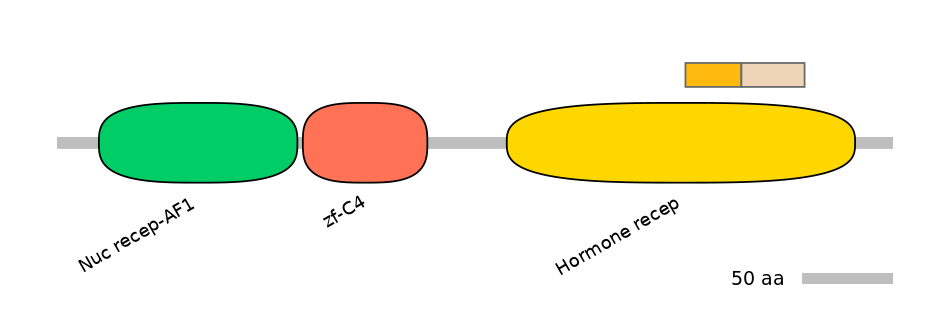 HsaINT0144195-EXC