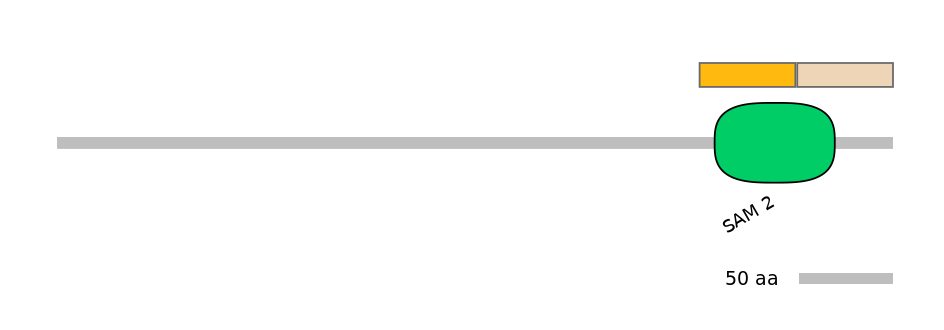 HsaINT0144765-EXC
