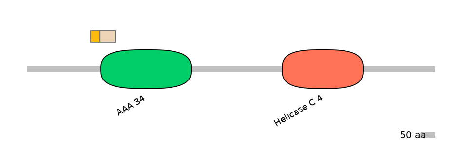 HsaINT0145236-EXC