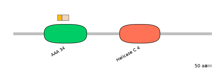 HsaINT0145243-EXC