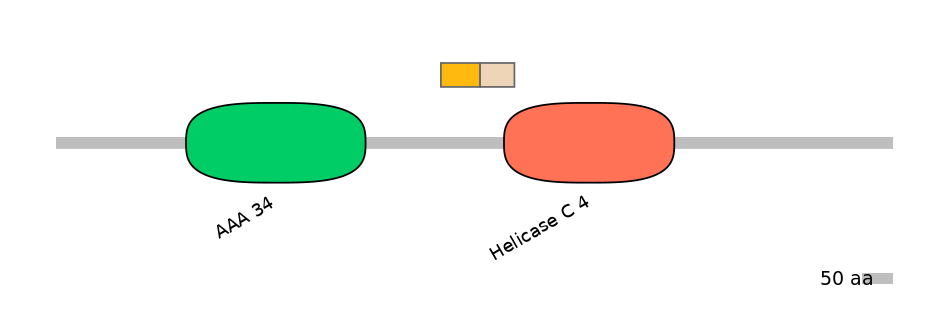 HsaINT0145251-EXC