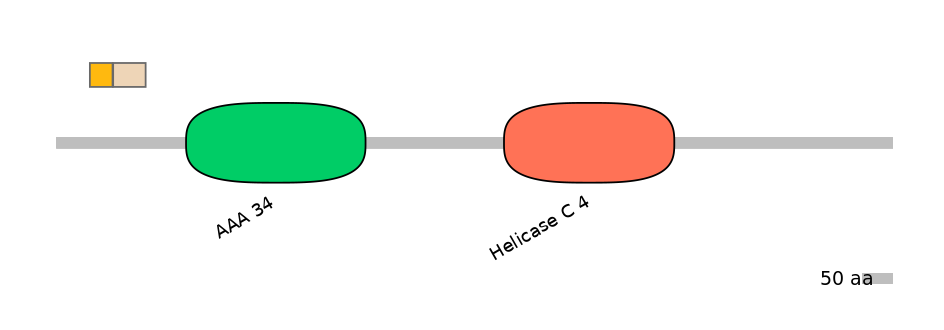 HsaINT0145267-EXC