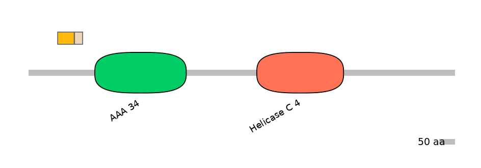 HsaINT0145268-EXC