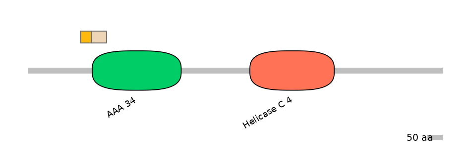 HsaINT0145270-EXC