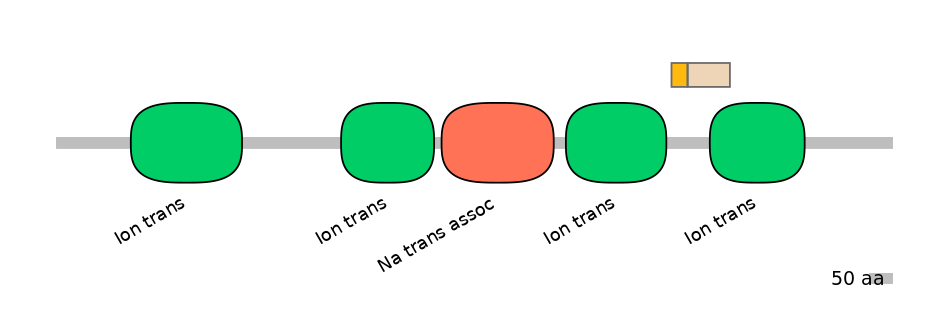 HsaINT0145761-EXC